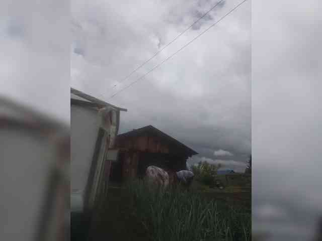 dimaolya1 webcam