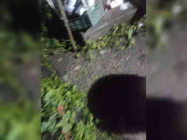 suprugi28 webcam