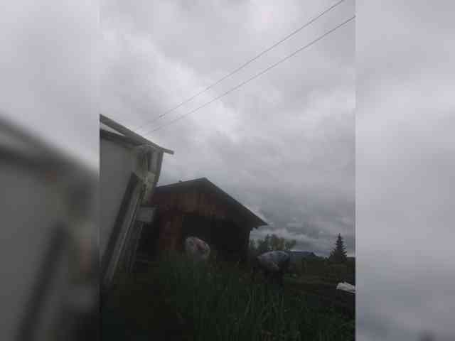 dimaolya1 webcam