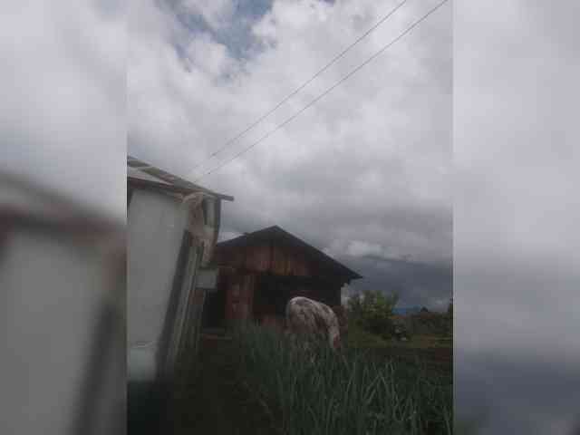 dimaolya1 webcam