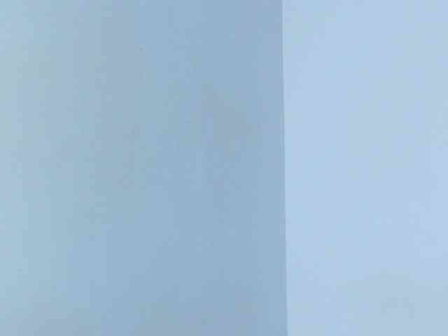 CuteWofy webcam