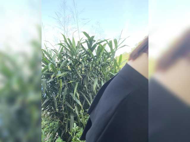 bellag