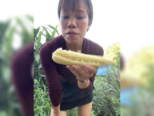 bellag