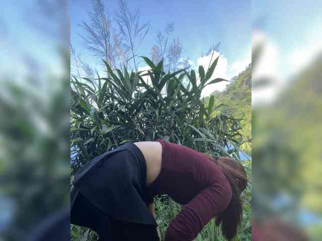 bellag