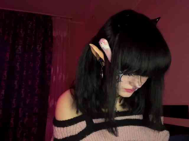 Modelo: HolyCute