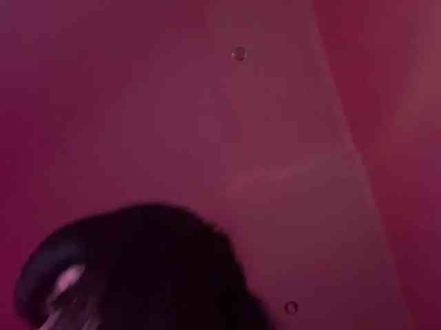 TasyaTas webcam