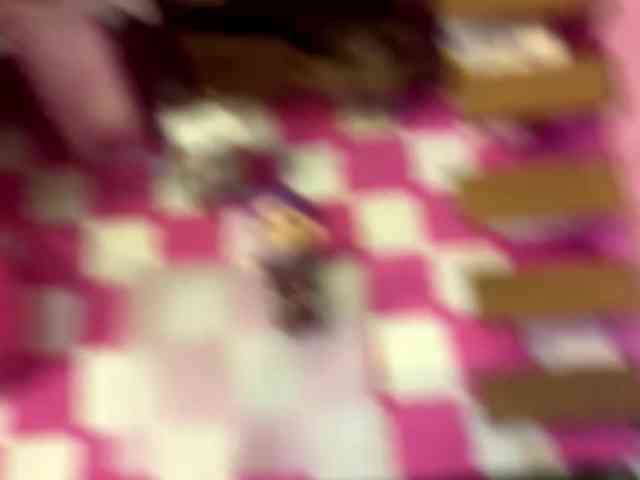 HolyCute webcam