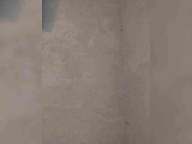 Paramy webcam