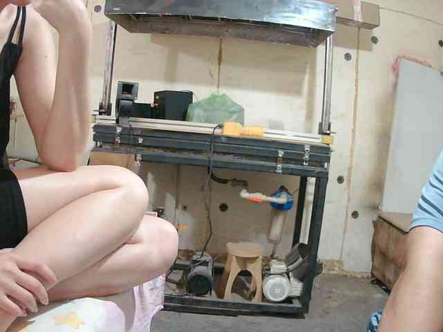 Paramy webcam