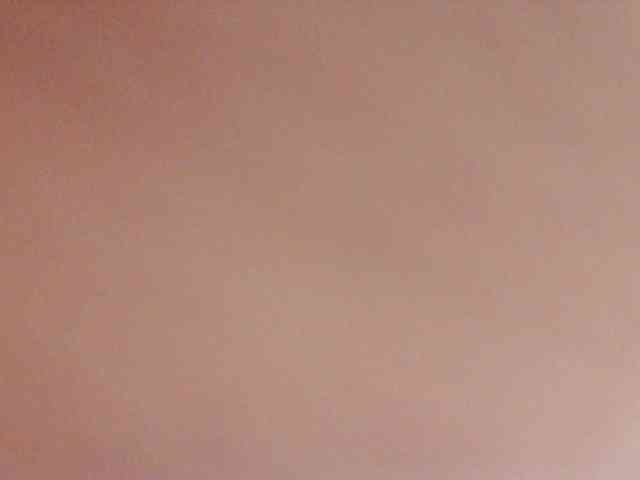 Paramy webcam