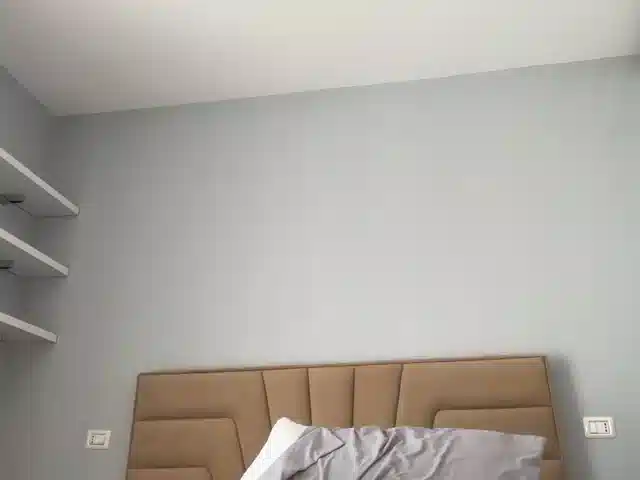 Tomassdickpick
