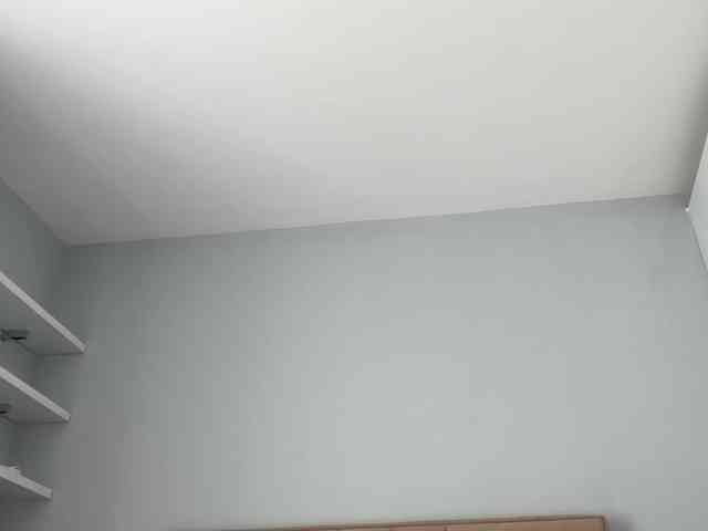 Tomassdickpick