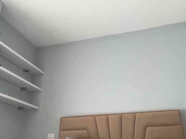 Tomassdickpick