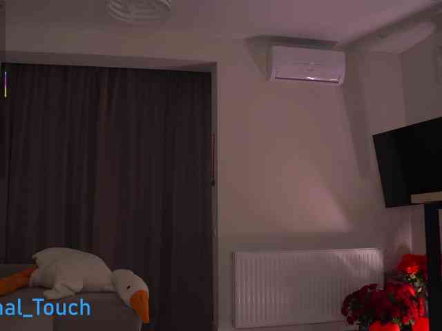 Kristlna webcam