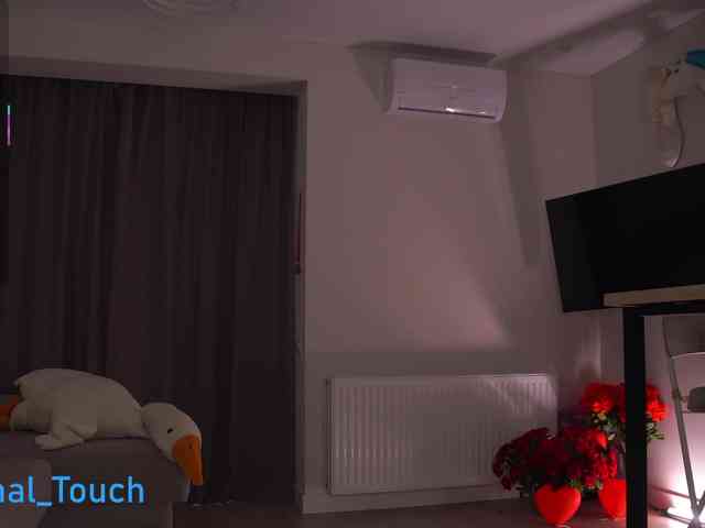 Kristlna webcam