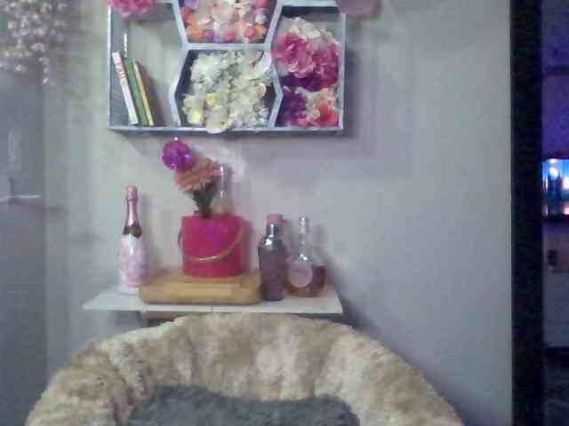 milanmonroexx webcam