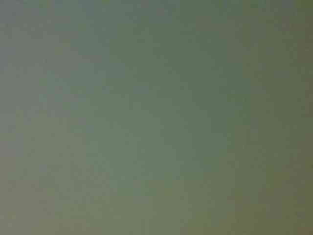 Savagebuttefly webcam