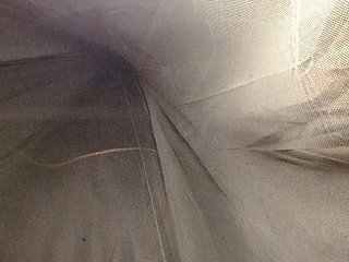 trieungan89 Porn Show
