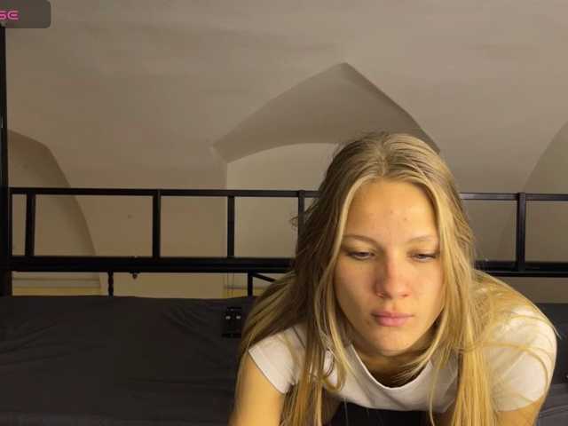 go to chat with lionnkitty