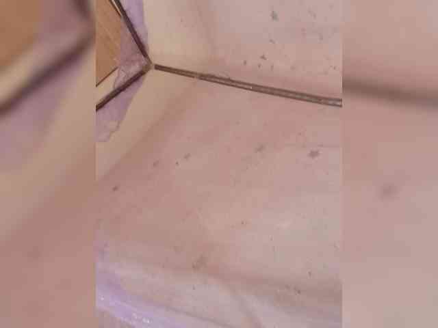 Creamyypussy webcam