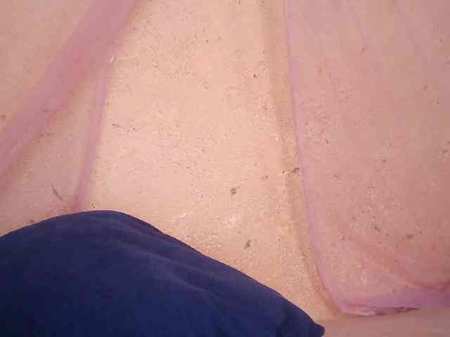 Creamyypussy webcam
