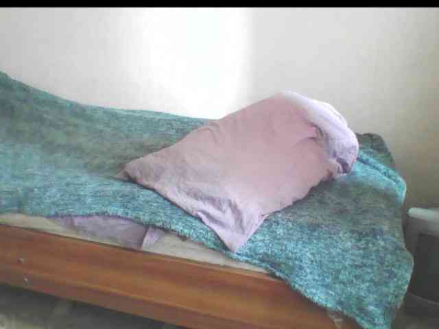 846f webcam