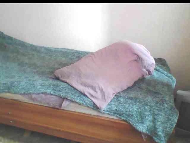 846f webcam