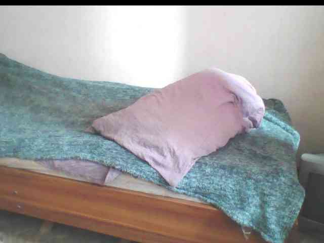 846f webcam