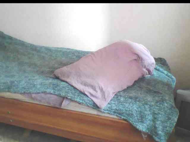 846f webcam