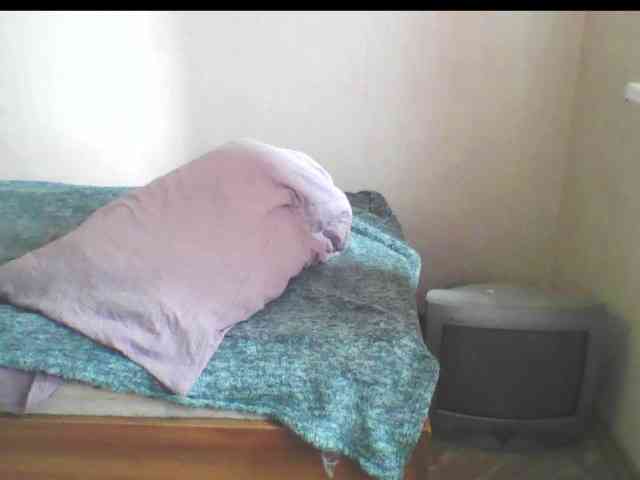 846f webcam