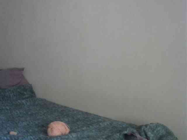 846f webcam