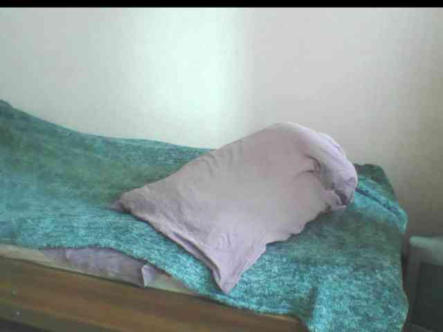 846f webcam