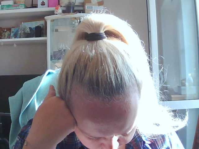 Viola27