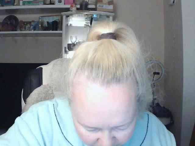 Viola27 webcam