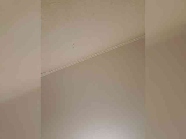 Viola27 webcam