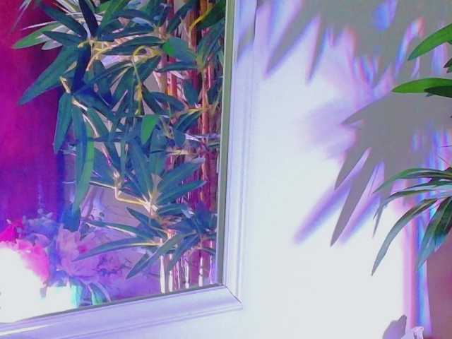 EvvaMonroe live cam on BongaCams