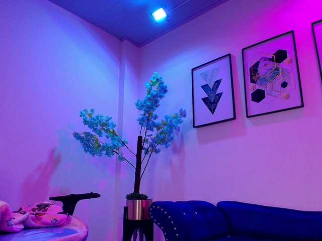 MiiaOwenns live cam on BongaCams