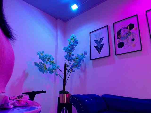 MiiaOwenns webcam
