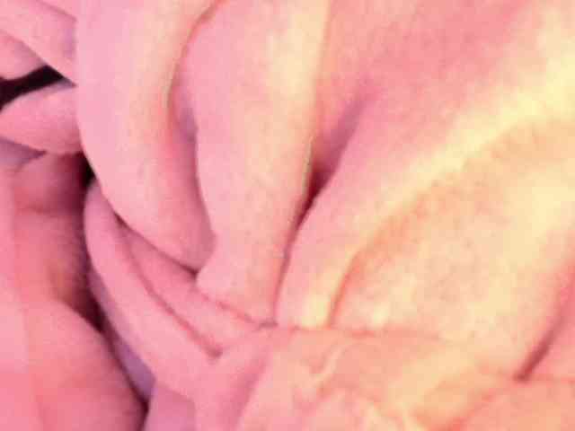 MiiaOwenns webcam