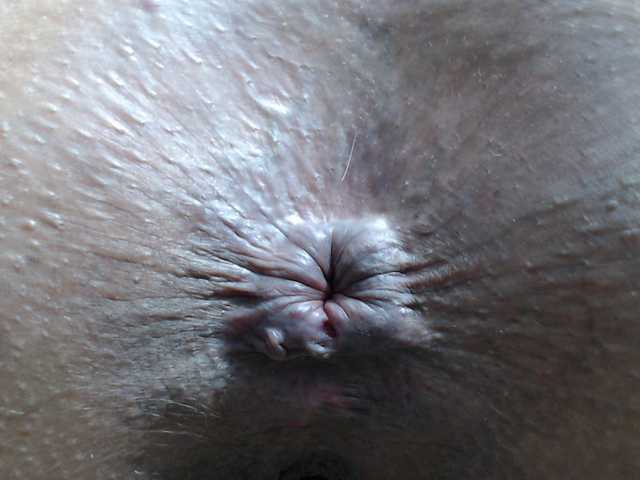 rosebbw6969 live webcam show