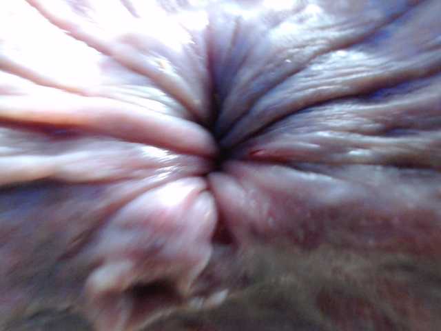 rosebbw6969 live cam on BongaCams