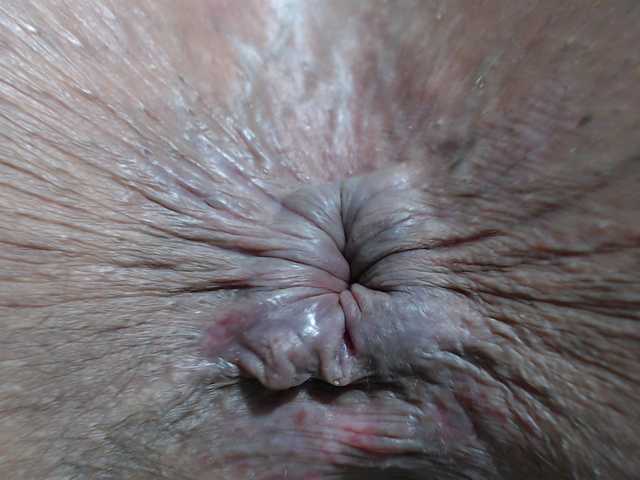 rosebbw6969