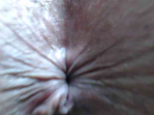 rosebbw6969 webcam