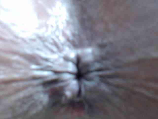 rosebbw6969 webcam