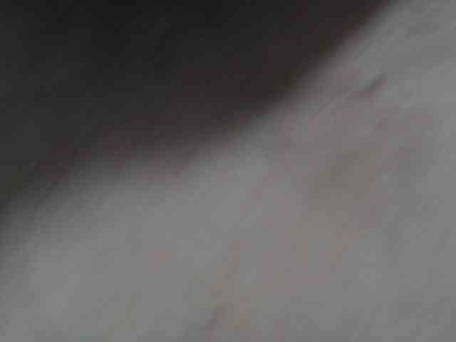 rosebbw6969 webcam