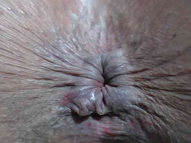 rosebbw6969 webcam