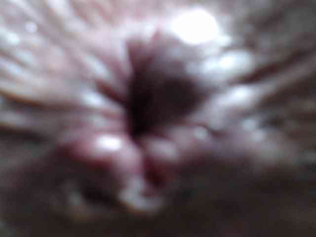 rosebbw6969 Live Webcam on BongaCams