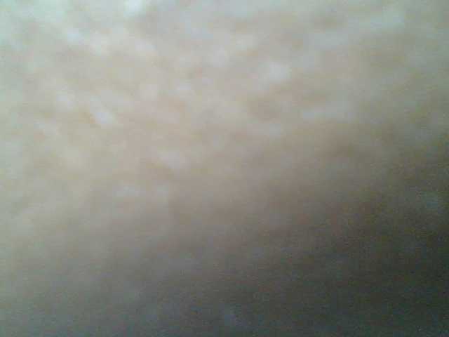 Sweetchely