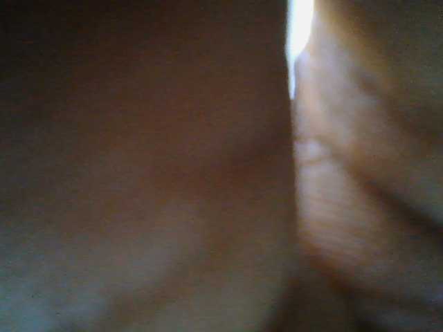 Sweetchely