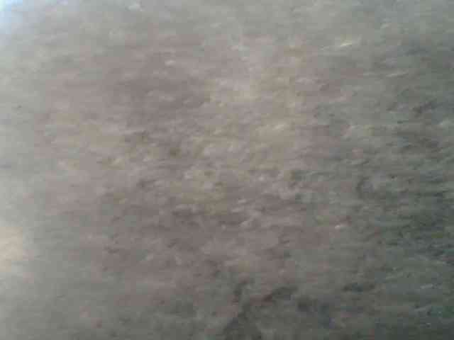 Sweetchely webcam
